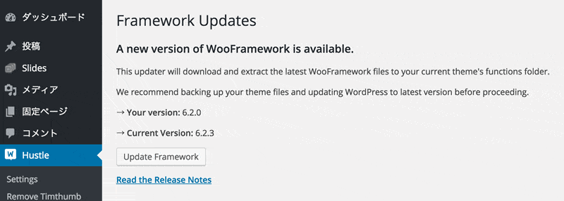 wooframework-update-02